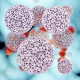 insan papillomavirusunun molekulları